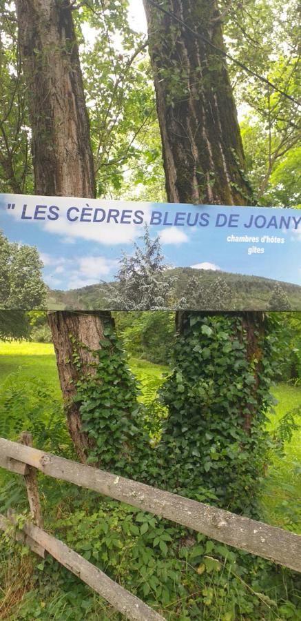 Les Cèdres Bleus de Joany Viviez Extérieur photo
