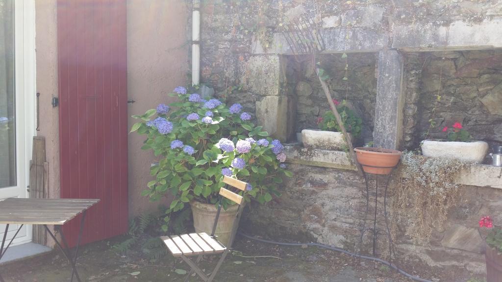 Les Cèdres Bleus de Joany Viviez Extérieur photo