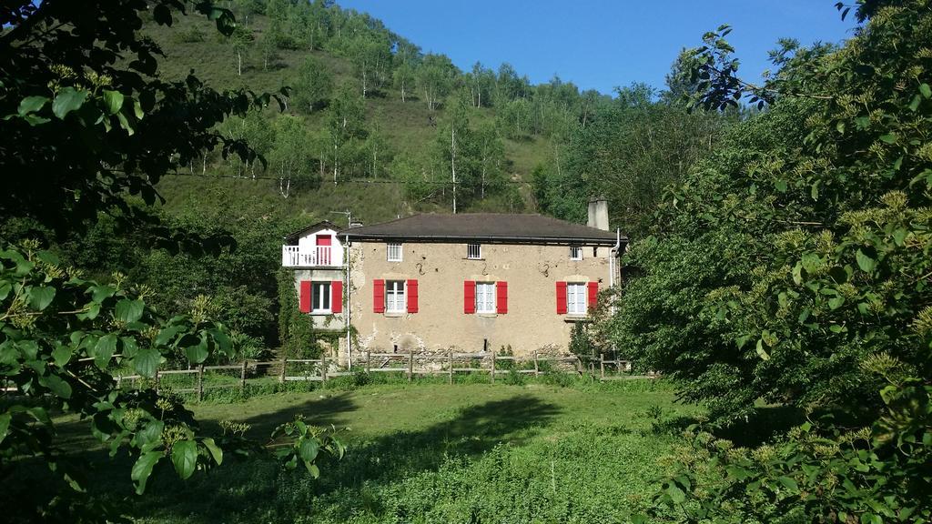 Les Cèdres Bleus de Joany Viviez Extérieur photo